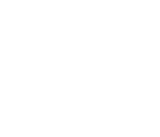 Sponsor